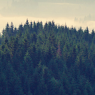 泡泡短信压力测试官网