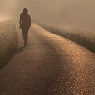 轰炸短信在线使用