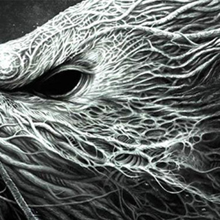 令人憧憬的轰炸电话信息软件免费版